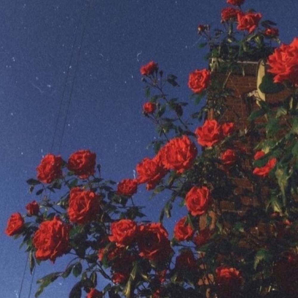 Meet your Posher, Aj